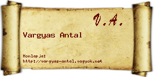 Vargyas Antal névjegykártya