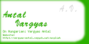 antal vargyas business card